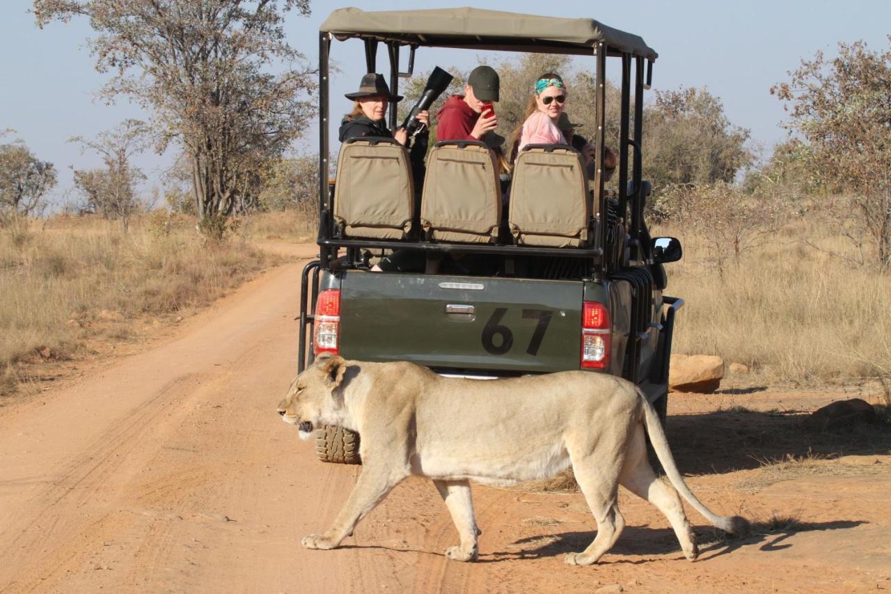 Inzalo Safari Lodge Велгефонден Гейм Ризърв Екстериор снимка